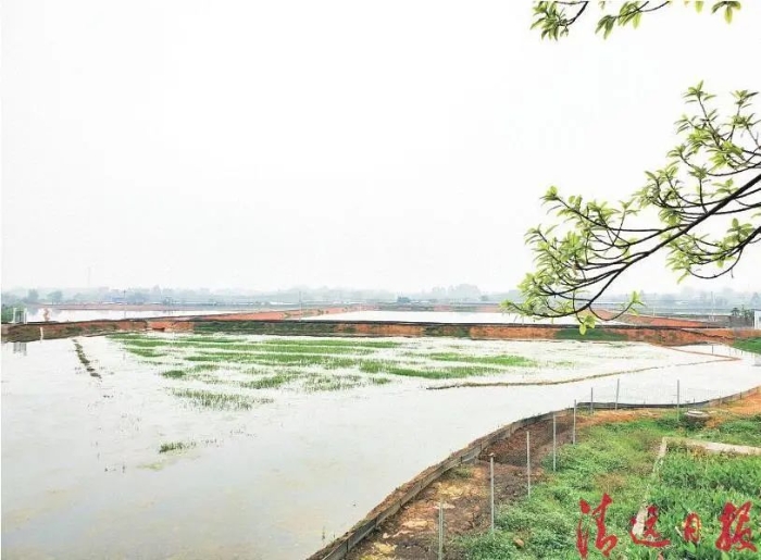 首页|NG大舞台,有梦你就来