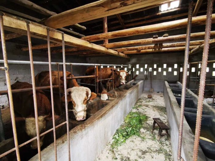 首页|NG大舞台,有梦你就来