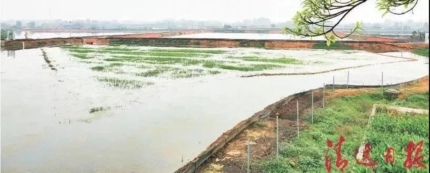 首页|NG大舞台,有梦你就来