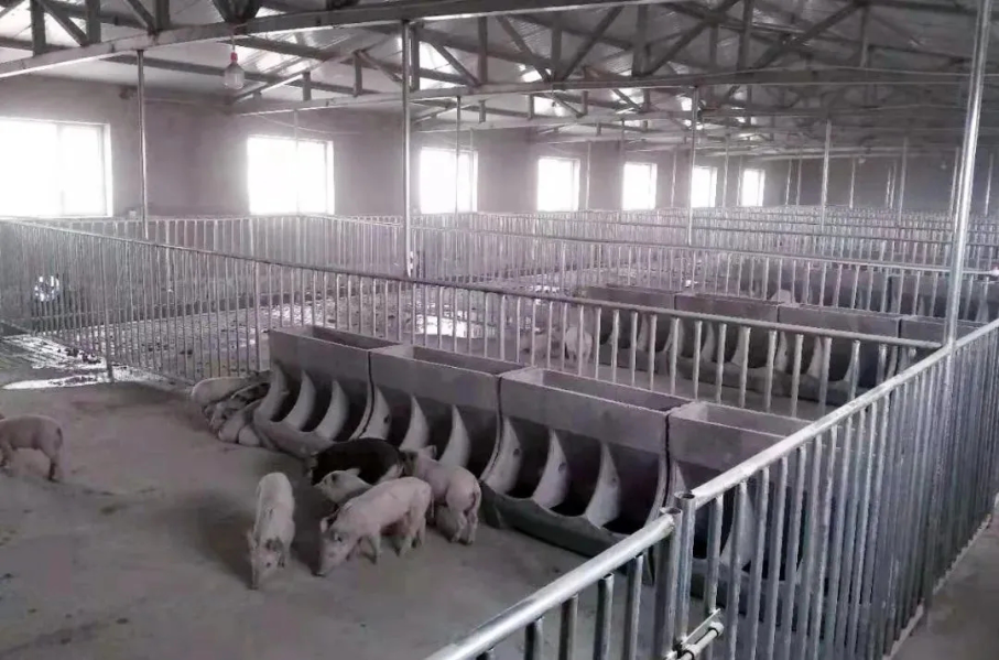 首页|NG大舞台,有梦你就来